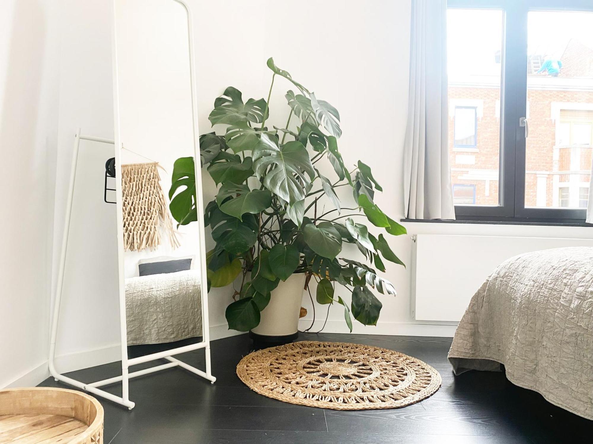 Nyaman Villa Ostend Luaran gambar